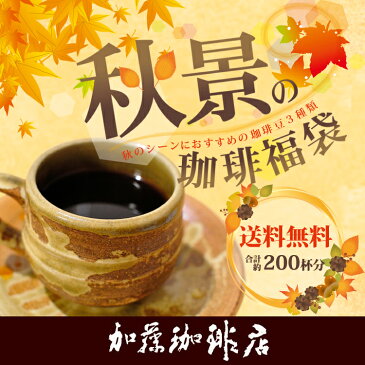 秋景の珈琲福袋(コンゴニ・アヴァロン・DA)/珈琲豆 送料無料 加藤珈琲店 500g袋