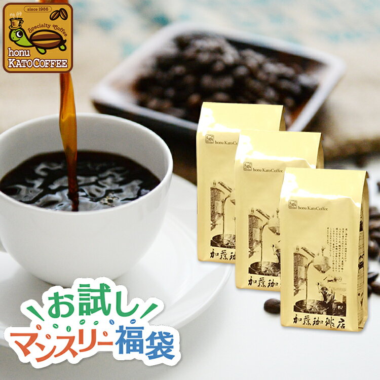 楽天グルメコーヒー豆専門！加藤珈琲店お試しマンスリー福袋（Qコロ・春・チョコ 各200g袋）/珈琲豆　加藤珈琲店　送料無料　コーヒー　コーヒー豆　加藤珈琲　スペシャルティーコーヒー