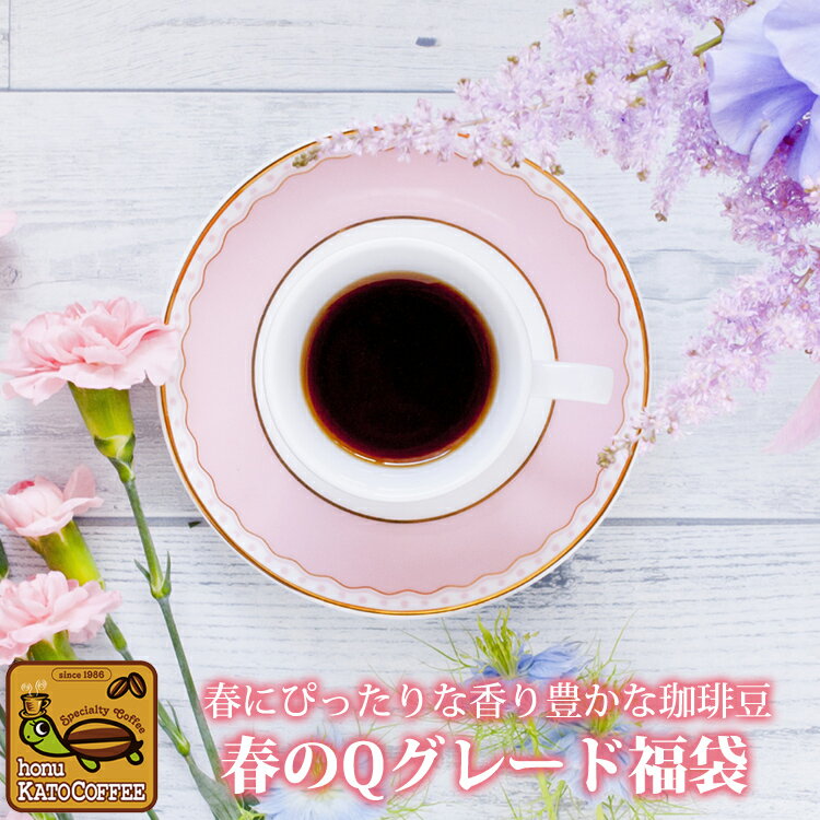 コーヒー豆 コーヒー 1.5kg 福袋 春のQグレード福袋(Qコス・Qコロ・Qブラ/各500g)