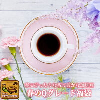 コーヒー豆 コーヒー 1.5kg 福袋 春のQグレード福袋(Qコス・Qコロ・Qブラ/各500g) ...