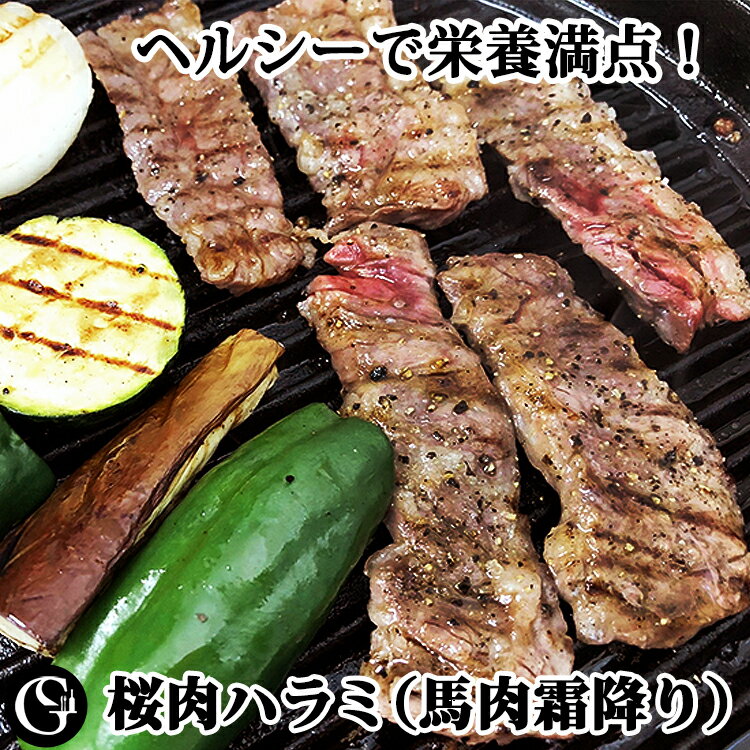 桜肉ハラミ 馬肉霜降り 約250g ステーキ 焼き肉 串焼きに【冷凍 不定貫9,502円/kgで再計 ...