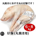 仔豚 丸焼き用 (コチニージョ 6〜8kg) 子豚の丸焼きにどうぞ 生 ミルクフェッド 子