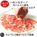 VPSハモンセラーノスライス 100g 23617(冷凍食品 業務用 おかず お弁当 冷凍 豚モモ肉 14ヶ月以上 自然乾燥熟成 スペイン産 惣菜 生ハム オードブル)