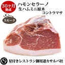 ハモンセラーノ スモーク風味 30ヶ月熟成 生ハム ミニ原木(コントラマサ/ランプの部位) 長期熟成 カサルバ【冷凍】