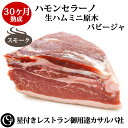 ハモンセラーノ スモーク風味 30ヶ月熟成 生ハム ミニ原木(バビージャの部位) 長期熟成 カサルバ 【冷凍】