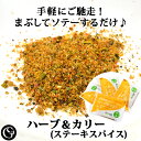 ハーブ＆カリー（2g×4袋） カレー風味 ステーキ スパイス