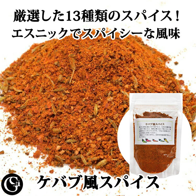 ケバブ風スパイス エスニック料理 ラム肉料理 50g×2袋