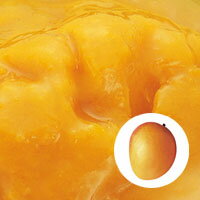 フランス 冷凍ピューレ マンゴ 1kg フルーツピューレ/製菓材料
