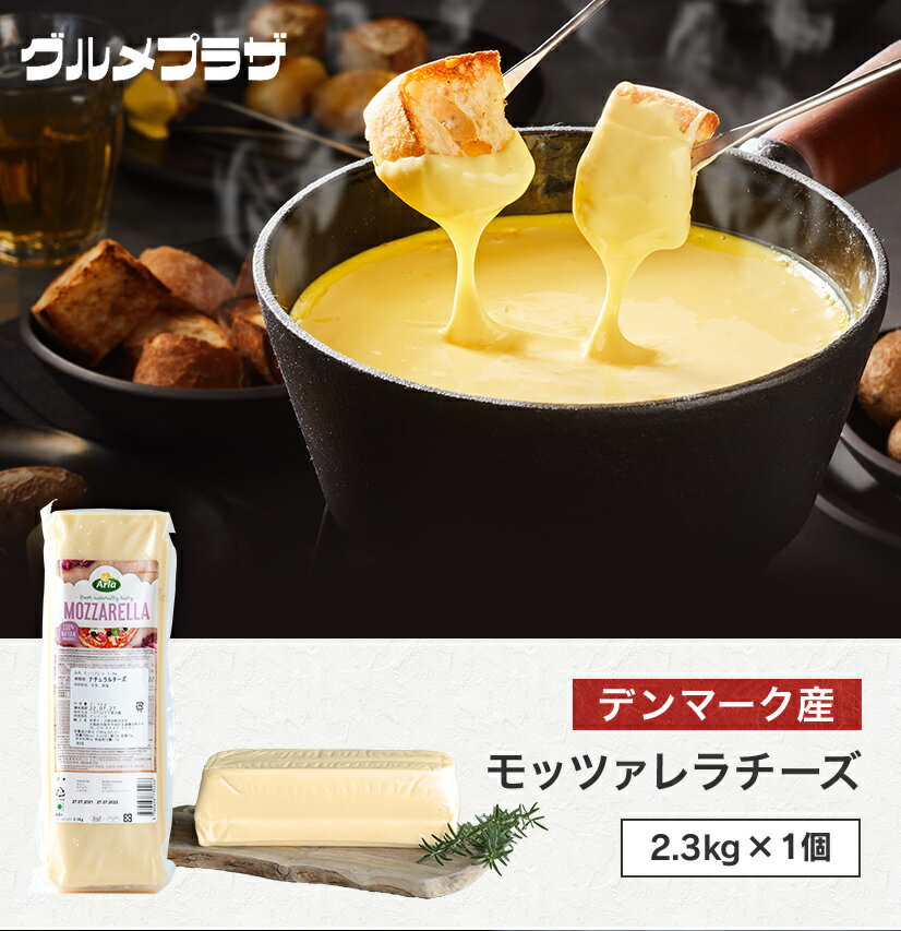 明治 meiji ナチュラルチーズ 100g 北海道十勝生モッツァレラチーズ フレッシュタイプ【この商品は冷蔵便の為、追加送料330円が掛かります】