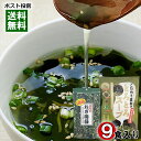 トーノー こだわり素材のとろとろスープ 9食分&手抜薬味 ねぎ海苔 9g 詰め合わせセット【メール便送料無料】