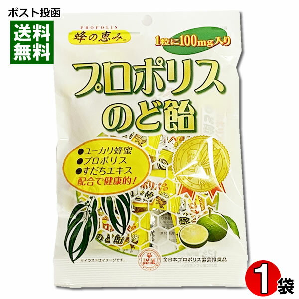 【メール便送料無料】サンフローラ プロポリスのど飴 80g