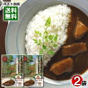 等々力カリー やさしい中辛 カレーフレーク 3〜4皿分入り×2袋お試しセット 特性ブラウンルウ使用【メール便送料無料】