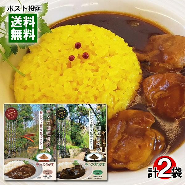 等々力カリー やさしい中辛＆等々力黒カリー スパイシーな中辛 カレーフレーク 3〜4皿分入り 各1袋お試..