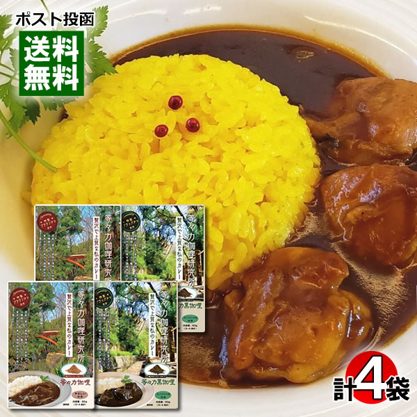等々力カリー やさしい中辛&等々力黒カリー スパイシーな中辛 カレーフレーク 3〜4皿分入り 各2袋詰め合わせセット 特性ブラウンルウ使用【メール便送料無料】