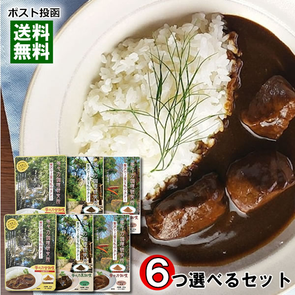 等々力カリー 3種類(上品な甘口&やさしい中辛&スパイシーな中辛)から 6袋選べるまとめ買いセット 1袋3〜4皿分入り カレーフレーク カレー スパイス ルゥ 溶けやすい