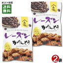 レーズンかりんとう 90g入り×2袋お試しセット 保存料・酸化防止剤不使用 山脇製菓【メール便送料無料】