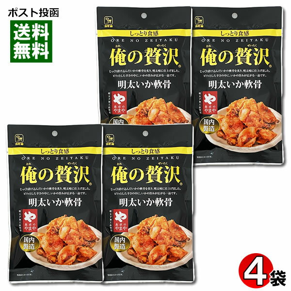 カモ井 俺の贅沢 明太いか軟骨 国内製造 48g×4袋まとめ買いセット おつまみ 珍味 海鮮 魚介 いかなんこつ 明太子味【メール便送料無料】