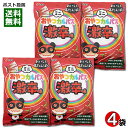 ヤガイ ミニおやつカルパス 激辛味 18g×4袋お試しセット おつまみ 珍味 サラミ 激辛カルパス 唐辛子味【メール便送料無料】
