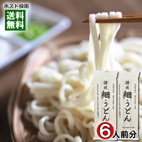 讃岐細うどん 270g×2袋詰め合わせセット（計6人前） 讃岐うどん 乾麺 細めん 讃岐物産【メール便送料無..