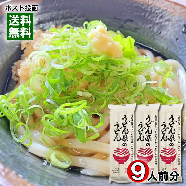 うどん県のうどん 300g×3袋まとめ買いセット(計9人前) 香川県産ブランド小麦さぬきの夢100%使用 讃岐うどん 乾麺 讃岐物産 【メール便送料無料】