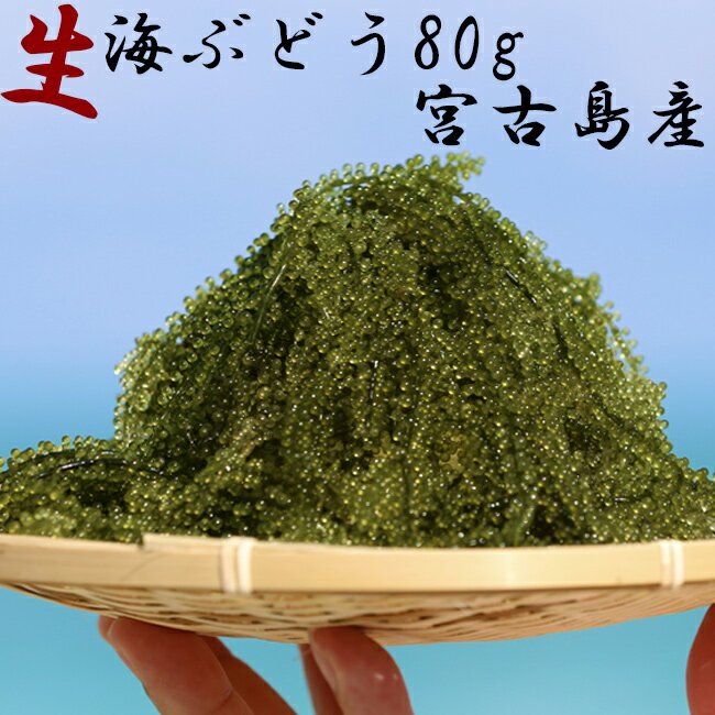 海ぶどう80g入×3パック　美らぶどう　沖縄県産　生ぶどう　大粒　常温　冷蔵庫保管不可　産直商品　同梱不可　キャンセル不可【常温】