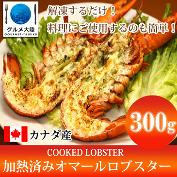 オマール海老 ボイル 300g×3本 セット　　　 ロブスター 冷凍 カナダ産　【冷凍品】