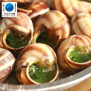 【フランス産 ブルゴーニュ風 エスカルゴ 殻付き12粒】 クリスマス パーティー ディナーに escargot French パーティー ディナー お祝い ギフ...