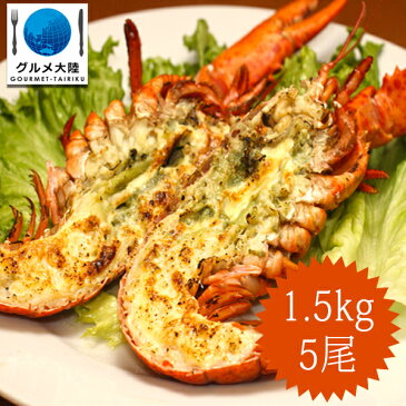 オマール海老 ボイル 300g×5本　　　 ロブスター 冷凍 カナダ産　【冷凍品】