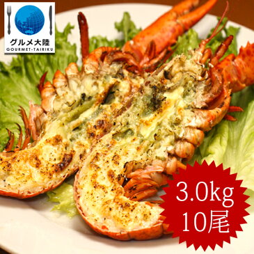 オマール海老 ボイル 300g×10本　　　 ロブスター 冷凍 カナダ産　【冷凍品】