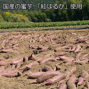 黄金さつま国産無添加こだわり干し芋紅はるか使用北海道生産(100g×2袋セット）