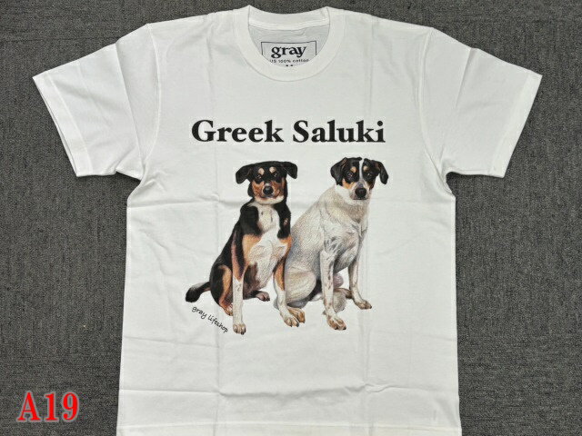 gray us 100% cotton ギリシャサルーキ