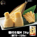 商品説明 名称 穂付き筍M 内容量 1kg（個75g〜120g） 主原材料 たけのこ（中国産） アレルギー 調理方法 賞味期限 パッケージに記載 保存方法 要冷凍 販売者 株式会社西川 大阪市生野区田島6丁目16-9