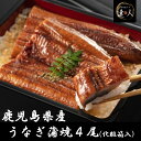 【 国産うなぎ蒲焼 2尾 ×2】 うなぎ ウナギ 鰻 鰻の蒲焼き 長蒲焼 おいしいたべもの 国産うなぎ 鹿児島鰻 冷凍 パック セット うなぎ蒲焼き 鰻蒲焼 う...