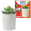 バルサン 虫こないもん 置くだけ 虫よけ 効果1年 (プランツ)/ 電気・電池・火気不要で安全・静か/バルサン独自のワイド拡散 / 送料無料