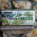 インテリアモス グリーン 300グラム インテリアMOSS インテリア 苔 コケ 苔玉 コケ玉 マルチング 観葉植物 多肉植物