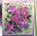 駿河のクレマチス メフィストフェレス (ジャックマニー系) 2年生苗 4号ロングポット苗 クレマチス 寄せ植え 花壇 鉢植え 地植え 苗木 お洒落 可愛い 花 ...