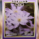 駿河のクレマチス 鶴の舞 (ラヌギノーサ系) 2年生苗 4号ロングポット苗 クレマチス 寄せ植え 花壇 鉢植え 地植え 苗木 お洒落 可愛い 花 苗