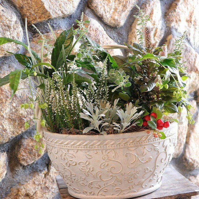 【当店オリジナル】 持ち手付き♪秋の草花のエレガントスタイル寄せ植え 【現品195】