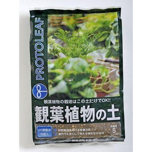 プロトリーフ 観葉植物の土 5L