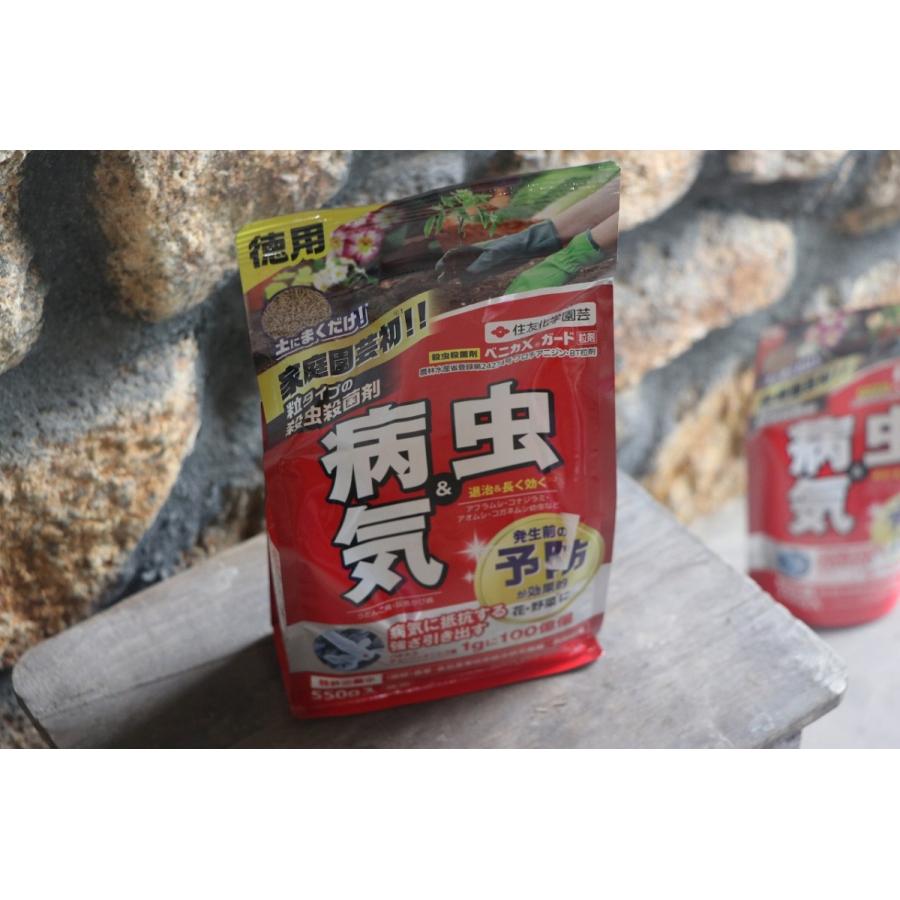 KINCHO園芸 （旧：住友化学園芸） ベニカXガード粒剤 550g 住友化学園芸