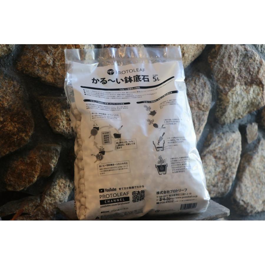 �ץ��ȥ꡼�ա��������ȭ���С�5��åȥ�