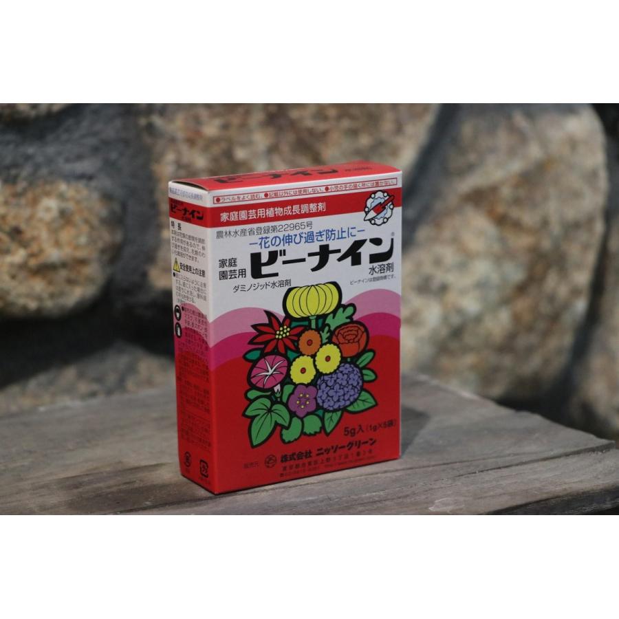 KINCHO��� �ʵ졧��ͧ���ر�ݡ� �ӡ��ʥ�����Ϻ� 5g��(1g��5����) �˥å������꡼�� ����� ��ʪ��ĹĴ����