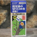 トップジンMペースト 100g入 住友化学園芸 園芸用 癒合剤