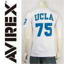 Avirex ArbNX  vgTVc UCLA 75 / AVIREX S/S CREW NECK PRINT TEE 