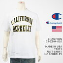 Champion `sI ChCUSA T1011 TVc JtHjAwo[N[Z CHAMPION MADE IN USA T1011 US T-SHIRT UCB C5-X304-010yKi/č//NbN|Xgz