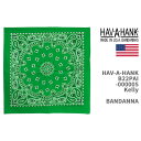 Hav-A-Hank ハバハンク バンダナ HAV-A-HANK BANDANNA TRADITIONAL PAISLEYS MADE IN THE USA B22PAI-000005【米国製/クリックポスト対応可】