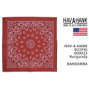 Hav-A-Hank ハバハンク バンダナ HAV-A-HANK BANDANNA TRADITIONAL PAISLEYS MADE IN THE USA B22PAI-000023【米国製/クリックポスト対応可】