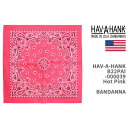 Hav-A-Hank ハバハンク バンダナ HAV-A-HANK BANDANNA TRADITIONAL PAISLEYS MADE IN THE USA B22PAI-000039【米国製/クリックポスト対応可】