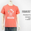 yKizPEANUTS s[ibc Xk[s[  vg TVc r[`fUC PEANUTS S/S SNOOPY PRINT T-SHIRT GU821076R-305yNbN|XgΉz