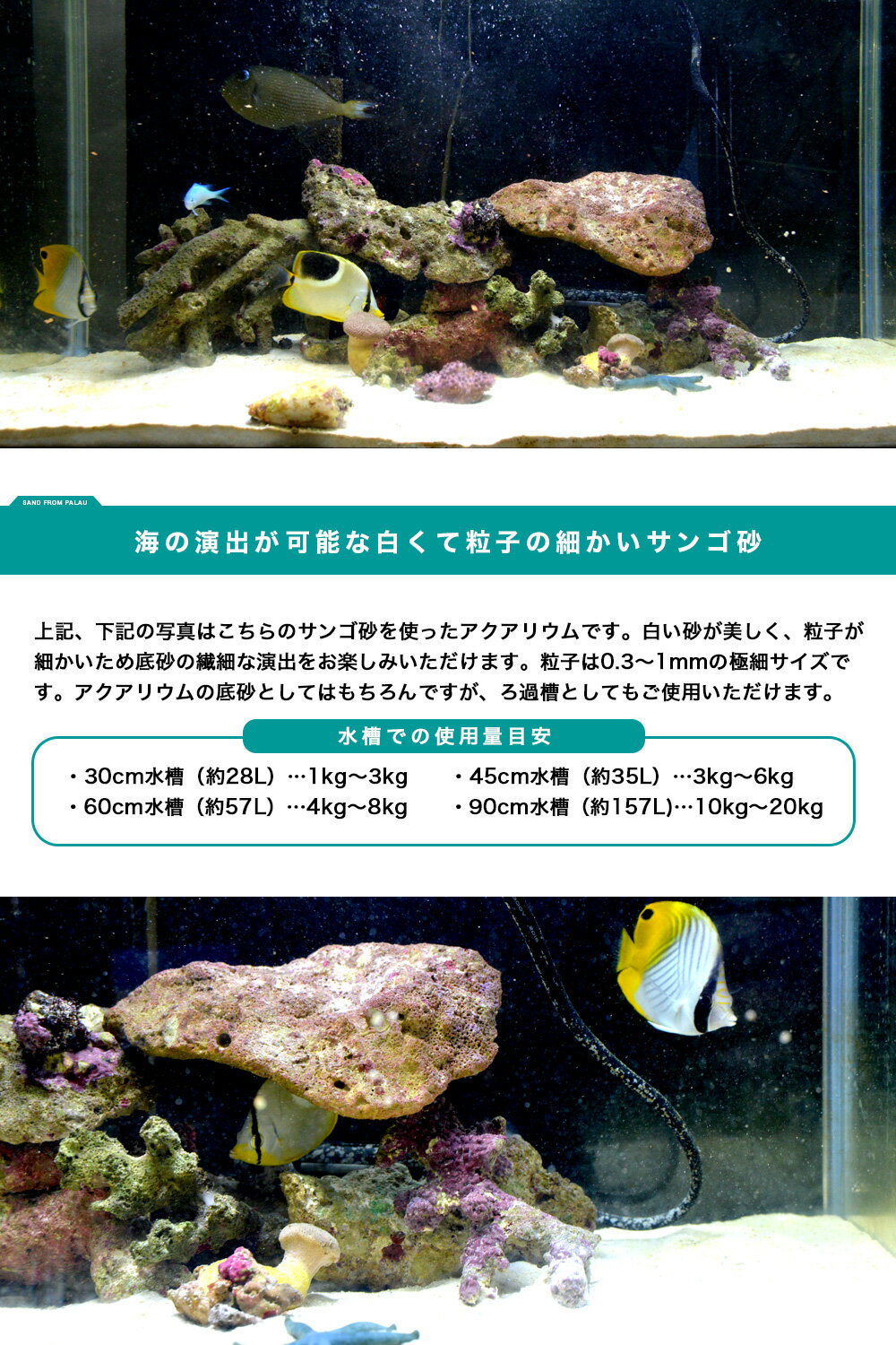 【パラオ産】 天然サンゴ砂 100g サンゴ ...の紹介画像3